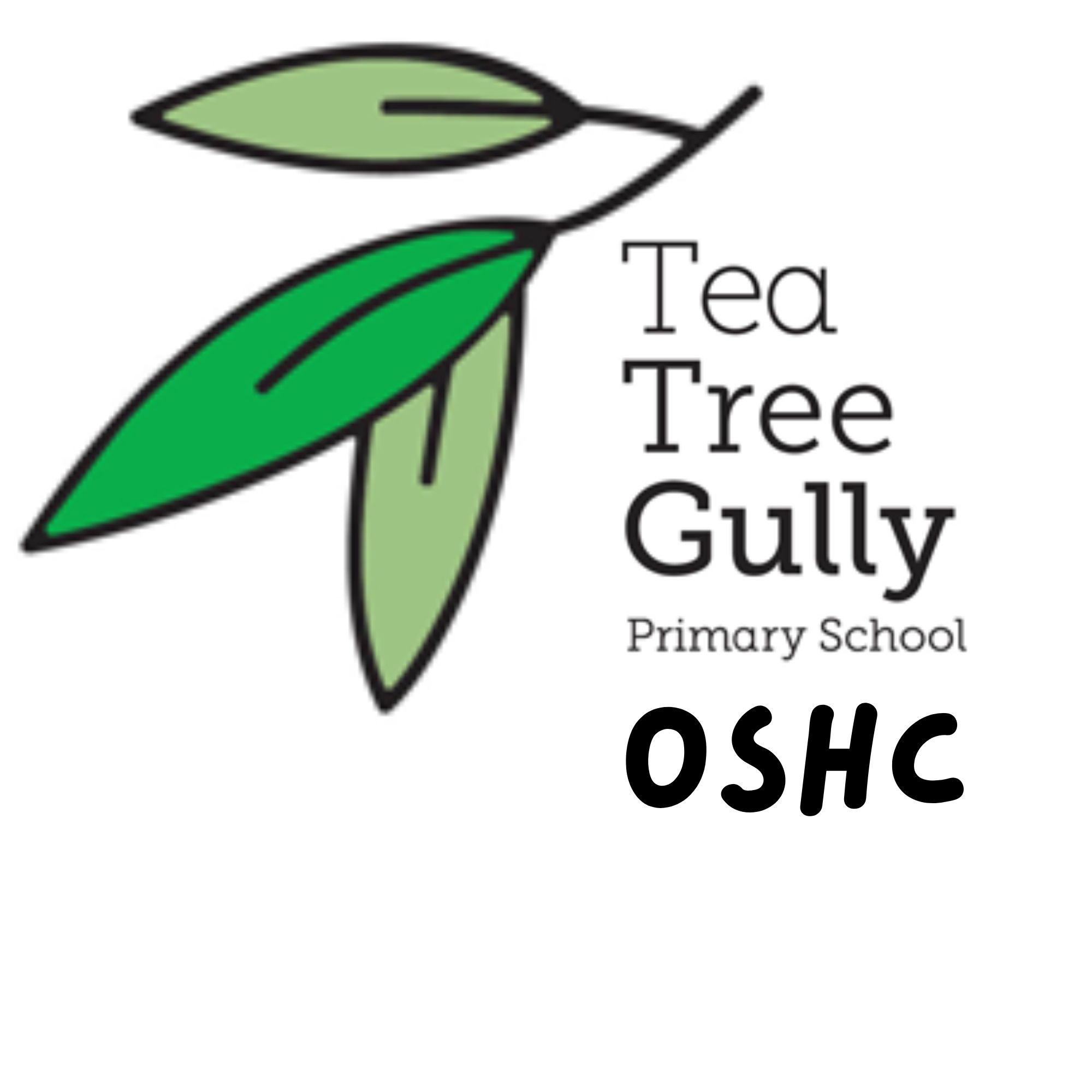 Tea Tree Gully Primary School OSHC